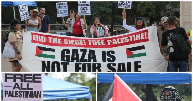 woke-fatigue:-socialist-party’s-pro-hamas-protest-in-san-antonio-fails-to-draw-crowd