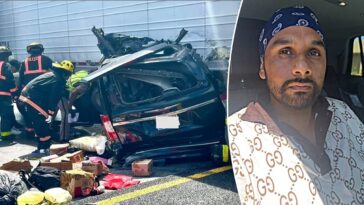 illegal-immigrant-accused-of-killing-3-in-florida-highway-crash-crossed-border-into-california-in-2018:-dhs