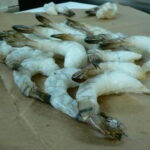 fda-warns-public-to-avoid-eating-shrimps-potentially-contaminated-with-radioactive-material-—-products-may-have-been-sold-at-walmart-in-13-states