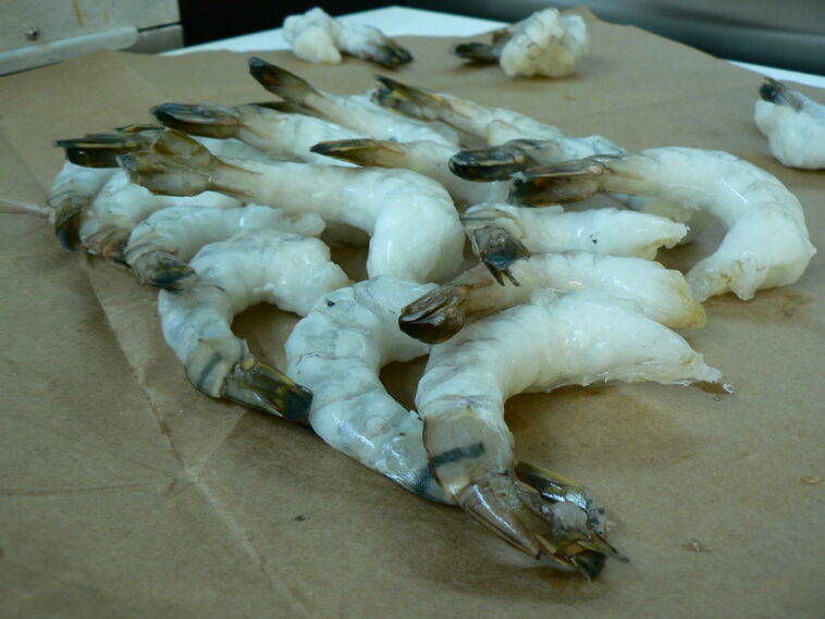fda-warns-public-to-avoid-eating-shrimps-potentially-contaminated-with-radioactive-material-—-products-may-have-been-sold-at-walmart-in-13-states
