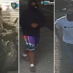 armed,-moped-swiping-gang-terrorizing-nyc-this-summer:-‘showed-me-a-big-knife’