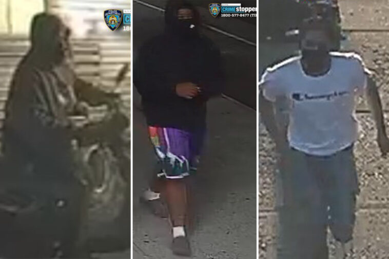 armed,-moped-swiping-gang-terrorizing-nyc-this-summer:-‘showed-me-a-big-knife’