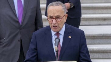 chuck-schumer-said-he’s-never-felt-in-danger-walking-in-dc-and-neither-have-his-ten-bodyguards