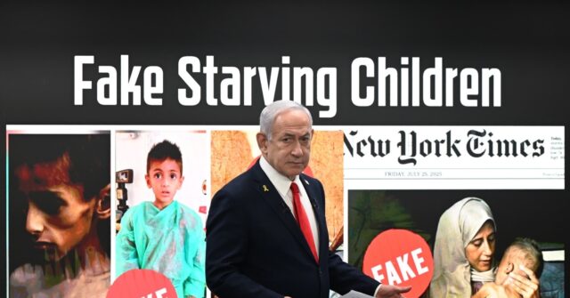 report:-12-palestinian-‘starving’-kids-in-gaza-had-other-diseases