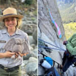 california-park-ranger-fired-after-helping-hang-transgender-pride-flag-on-popular-yosemite-monolith