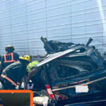 report:-illegal-trucker-behind-fatal-u-turn-failed-english-language-test