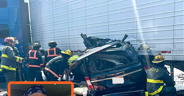 report:-illegal-trucker-behind-fatal-u-turn-failed-english-language-test
