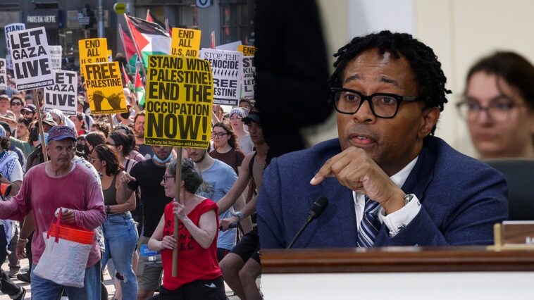 house-democrat-clashes-with-activists-over-israel-‘genocide’-as-pro-palestinian-protests-derail-town-hall
