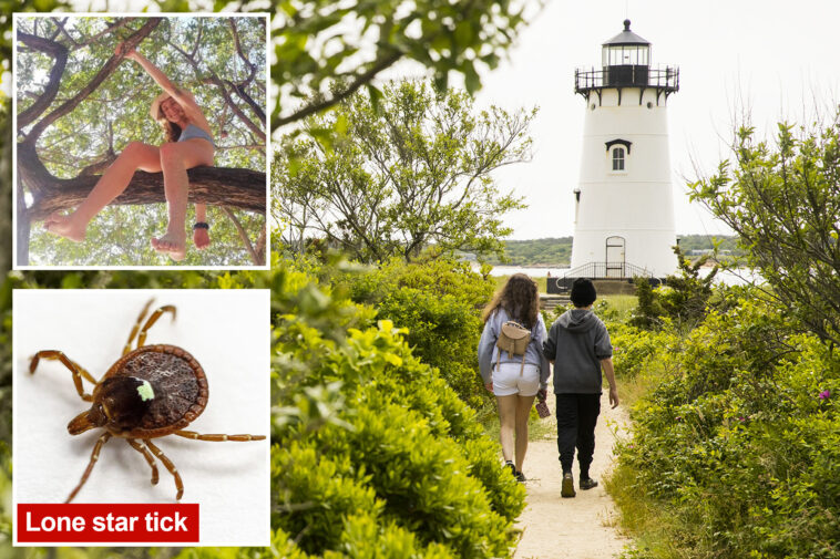 hundreds-of-martha’s-vineyard-residents-forced-to-go-vegan,-become-‘social-pariahs’-because-of-a-tiny,-dangerous-insect