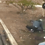 teen-tears-into-parents-at-sentencing-after-alleged-‘honor-killing’-plot-caught-on-video