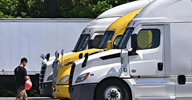 exclusive-—-shannon-everett:-foreign-drivers-all-about-‘suppressing-wages-of-the-american-truck-driver’