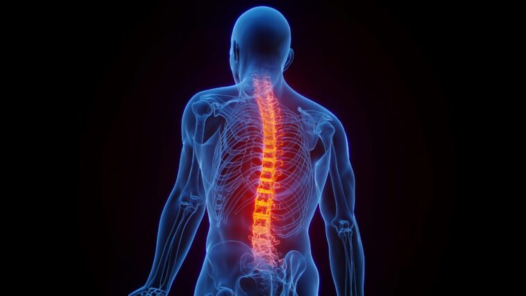 hope-for-paraplegics-as-israel-plans-first-spinal-cord-implant