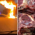 vegan-firefighter-fights-very-first-blaze-—-involving-40k-pounds-of-burning-ribeye-steak