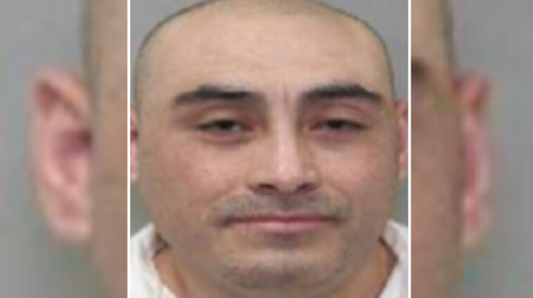 exclusive:-ice-nabs-mexican-national-who-killed-nephew-in-drunken-crash