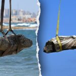 ancient-artifacts-of-sunken-city-likely-destroyed-by-earthquake-or-tsunami-plucked-from-seafloor