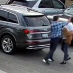 another-one:-illegal-russian-sends-man,-service-dog-crashing-to-the-ground-in-vicious-attack-ending-in-brain-injury