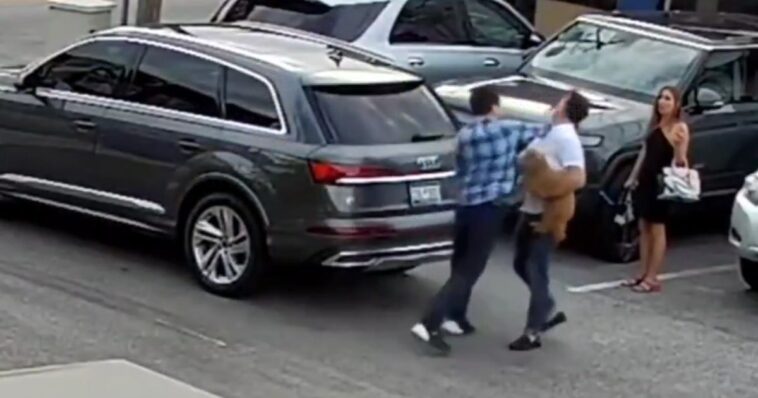 another-one:-illegal-russian-sends-man,-service-dog-crashing-to-the-ground-in-vicious-attack-ending-in-brain-injury