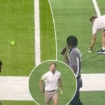 sex-toy-thrown-on-field-during-vikings-titans-game-following-wnba-fan-arrests