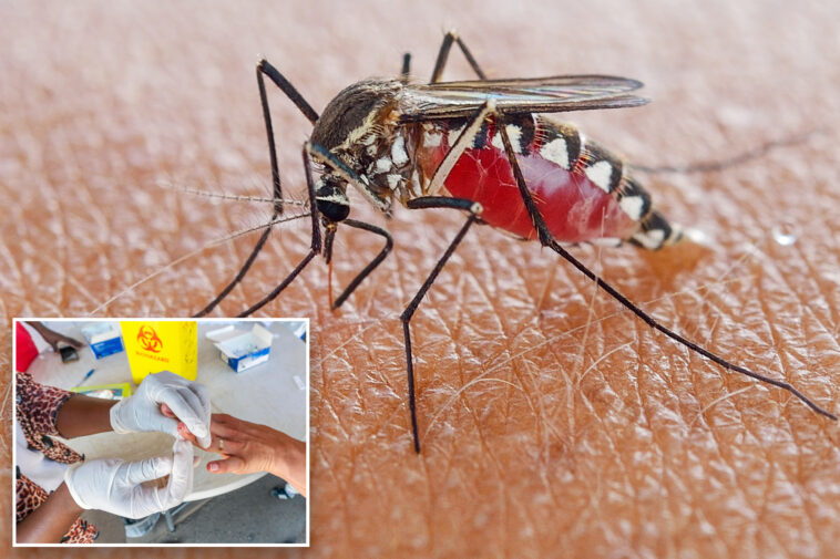 nj-sees-first-malaria-case-in-more-than-three-decades-—-and-it-came-from-a-local-mosquito