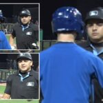 bat-boy-seemingly-ejected-by-minor-league-umpire-in-wild-scene