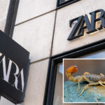 scorpion-stings-brazilian-student-in-zara-dressing-room,-sending-her-to-hospital