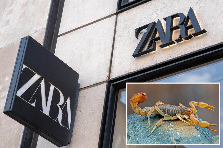 scorpion-stings-brazilian-student-in-zara-dressing-room,-sending-her-to-hospital