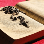 upcoming-documentary-on-diocese-of-charlotte’s-latin-mass-suppression-(video)