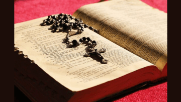 upcoming-documentary-on-diocese-of-charlotte’s-latin-mass-suppression-(video)