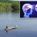 brain-eating-amoeba-kills-missouri-patient-at-st.-louis-hospital