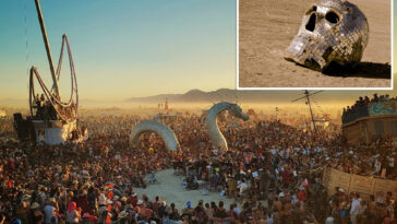 police-confiscate-crack,-lsd,-‘shrooms,-meth-headed-for-burning-man