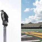 federally-protected-birds-force-high-school-football-team-to-rearrange-schedule