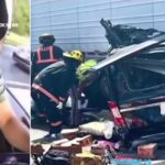 insanity:-over-2.3m-people-sign-petition-begging-for-clemency-for-illegal-truck-driver-who-killed-3-americans-suggest-counseling-and-community-service