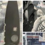 newsom’s-sanctuary-california:-ice-attacker-threatens-stabbings,-‘i’m-going-after-your-family’