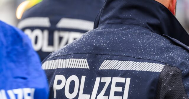 germany:-us.-man-stabbed-after-trying-to-protect-women-on-tram-from-migrant-harassment