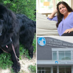 li-animal-hospital-left-beloved-dog-to-die,-charged-$2,500-a-night-—-and-lied-about-his-condition,-grieving-owners-claim