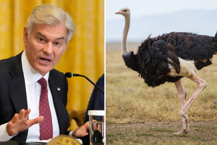 dr.-oz-urges-canada-to-toss-aside-court-ruling-to-save-the-ostriches:-‘maybe-they’ve-got-secrets’