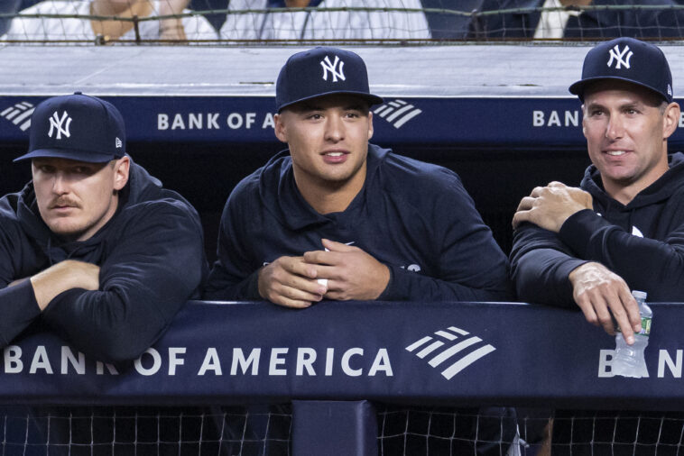 yankees-decide-how-long-struggling-anthony-volpe’s-benching-will-last:-‘it’s-all-on-me’