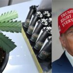 doobie-debate-blazes:-groups-urge-trump-to-reject-‘flawed’-weed-reclassification-push