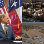 us-confirms-nation’s-first-travel-associated-human-screwworm-case-connected-to-central-american-outbreak 