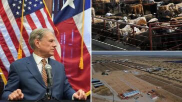 us-confirms-nation’s-first-travel-associated-human-screwworm-case-connected-to-central-american-outbreak 