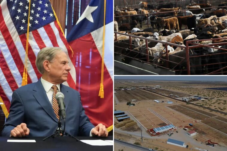 us-confirms-nation’s-first-travel-associated-human-screwworm-case-connected-to-central-american-outbreak 