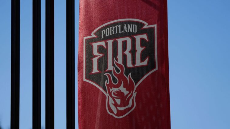 wnba’s-expansion-fire-names-cernivec-1st-gm