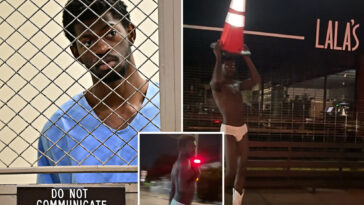 lil-nas-x-hit-with-4-felony-charges,-including-assaulting-cops,-after-galavanting-nearly-naked-on-street