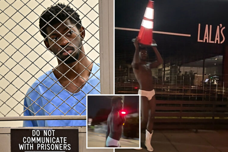 lil-nas-x-hit-with-4-felony-charges,-including-assaulting-cops,-after-galavanting-nearly-naked-on-street