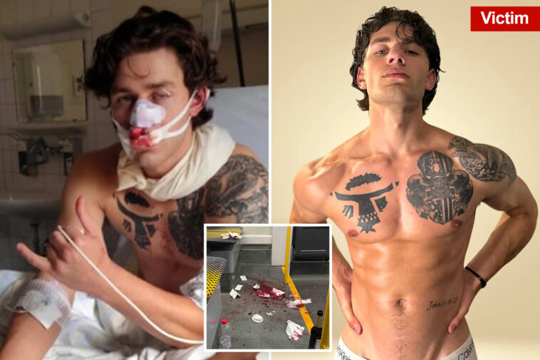 heroic-american-tourist-brutally-stabbed-while-protecting-two-women-in-germany-is-a-model-from-upstate-ny