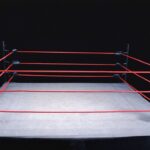 video-shows-ex-ufc-star’s-son-beating-wrestler