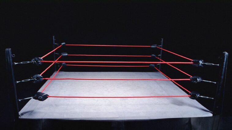 video-shows-ex-ufc-star’s-son-beating-wrestler