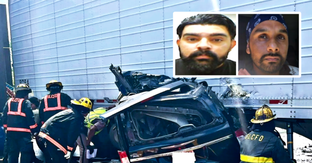 ice-arrests-illegal-alien-brother-of-indian-truck-driver-who-made-illegal-u-turn-that-killed-three-floridians