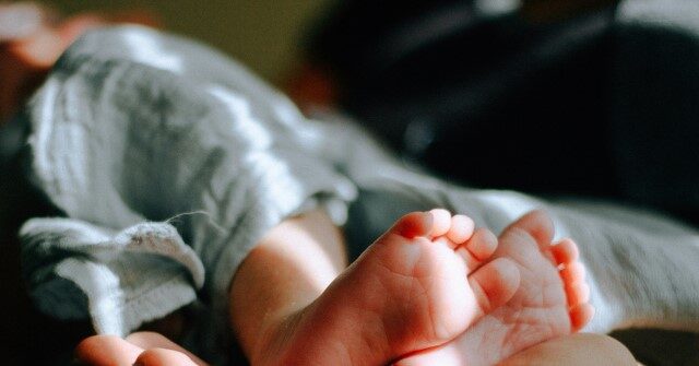 baby-box-to-be-installed-at-new-mexico-hospital-where-newborn-was-found-dead