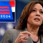 dnc-agreed-to-pick-up-the-tab-for-more-than-$20m-of-kamala-harris-campaign-debt-in-‘handshake-deal’:-report 